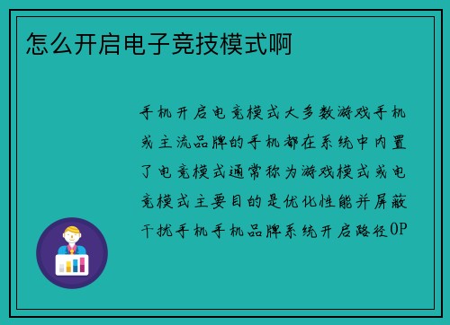 怎么开启电子竞技模式啊